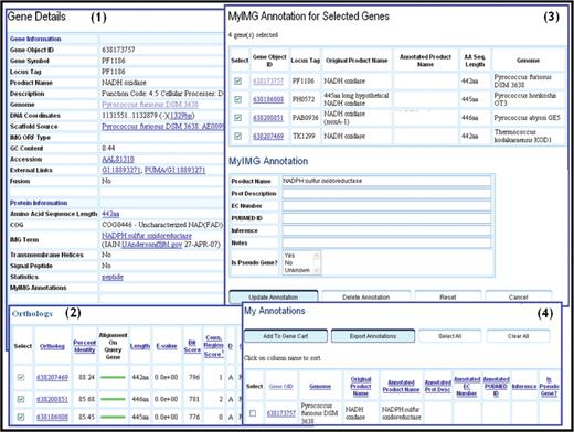 MyIMG user annotations. A gene of P. furiosus (with the object identifier ‘638173757’) is associated with product name NADH oxidase , as displayed by its ‘Gene Details’ page (1), and as recorded in GenBank and RefSeq, which can be viewed by following the appropriate External Links. For gene ‘638173757’, one can display its list of orthologs, which can be accessed in the Homologs section of its ‘Gene Details page (2). The top three orthologs of gene ‘638173757’ can be selected and saved together with the gene into the Gene Cart, where the product name is changed to NADPH : sulfur oxidoreductas with the ‘MyIMG Annotation’ tool (3). Other annotations (e.g. EC number) can be also modified. User annotations can be subsequently reviewed, imported into IMG from a user file, or exported to a user file using ‘My Annotations’ page (4).