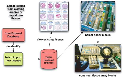 Each tissue microarray contains hundreds of tissue samples. TMAD provides tools to assist the histologist in selecting tissues by parametric search as well as by providing batch upload of new de-identified tissue metadata.