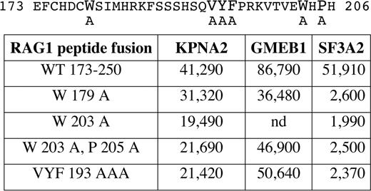 The effect of site specific mutations within the WWL motif using the mammalian two-hybrid assay. (Top) Mouse RAG1 from 173-206, spanning the WWL motif. Residues in larger font are variously mutated. (Bottom) Mammalian two-hybrid assay revealing interaction between the RAG1 peptide and the three other proteins. Data are raw luciferase units. The interaction with SF3A2 is very sensitive to all mutations.