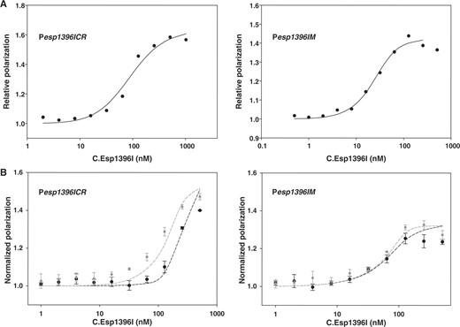 Interaction of C. Esp1396I with esp1396I binding sites measured by fluorescence polarization. (A) DNA binding of C.Esp1396I analyzed by fluorescence polarization of fluorescein-labeled Pesp1396ICR (left) and Pesp1396IM (right) DNA fragments. Solid lines show best fits of the models to experimental data. The best fit parameters for Pesp1936ICR were Kp = 322 nM, Kd = 6.9 nM and cooperativity 219. The best fit equilibrium constant for Pesp1936IM DNA was K = 0.3 nM. (B) Left panel: binding of C.Esp1396I to labeled Pesp1396ICR DNA in the absence (gray symbols) and presence (black symbols) of unlabeled Pesp1396IM DNA. Right panel: binding of C.Esp1396I to labeled Pesp1396IM DNA in the absence (gray symbols) and presence (black symbols) of unlabeled Pesp1396ICR DNA. Both labeled and competing unlabeled DNA (when present) were at 50 nM. Dashed lines depict predicted simulated binding using equilibrium constants derived from the analysis of the data illustrated in (A).