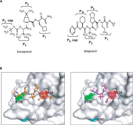 (A) Structures of boceprevir and telaprevir. (B) Three-dimensional structure of NS3 protease-inhibitor complex. The structures of boceprevir (purple, right panel) and telaprevir (gold, left panel) are presented as stick models. Side chains of the active site Ser (Ser139) and two mutation sites (V158 and V163) are depicted on the Connolly surface of the NS3 protease.