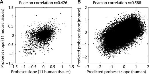  Cross-species exon array comparison. ( A ) A scatter plot comparing mouse to human probeset response slopes (determined from the tissue panel data). Mouse probesets were linked to their human homolog counterparts using whole-genome alignments (see Methods section). ( B ) A comparison of mouse and human exon response slopes based on the predictions from the positional dinucleotide model. 