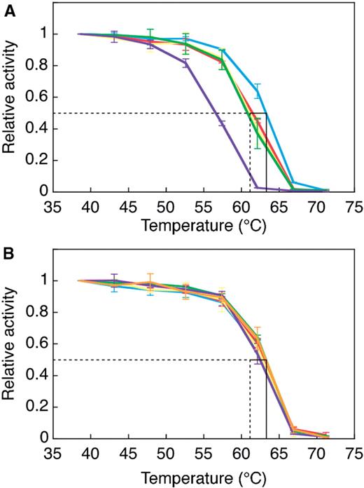Heat-denaturation curves of the variants selected from the randomized Fab fragment library without ( A ) and with ( B ) heat treatment as the selection pressure. Heat-denaturation ELISA was performed as described in ‘Materials and Methods’ section . The absorbance at 450 nm (reference at 655 nm) of each sample heated at 38.7°C was used for normalization. (A) The curves of N-1, N-3, N-5, N-6 and N-13 ( Table 2 ) are plotted in blue, red, yellow, green and purple, respectively. (B) The curves of H-1, H-3, H-6, H-12, H-15 and H-17 ( Table 2 ) are plotted in blue, red, yellow, green, purple and orange, respectively. The dotted line and solid line in each panel represent the Tm of the initial randomized library and the wild-type anti-fluorescein Fab fragment, respectively.