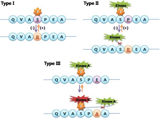 Schematic illustration of phosphovariants according to their types.