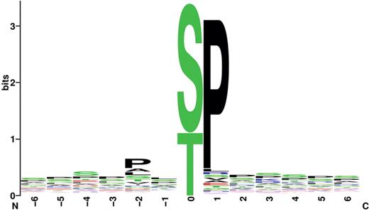 Sequence logos of amino acid sequences near phosphorylation sites recognized by the CMGC kinase group. The horizontal axis represents sequential positions relative to the phosphorylation site. The vertical axis represents decreases in uncertainty. Each letter refers to an amino acid. As the frequency of an amino acid at a given position increases, its height increases.