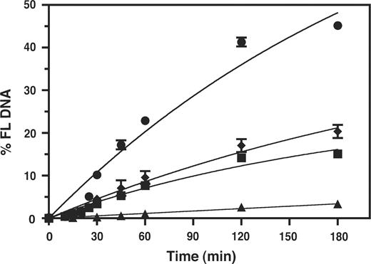 Effect of HIV-1 NC on the kinetics of 591R primer extension catalyzed by WT RT and RNase H-minus RT. The data were plotted as % FL DNA versus Time (min). Symbols. WT RT: minus NC, squares; plus NC, triangles. RNase H-minus RT: minus NC, circles; plus NC, diamonds.