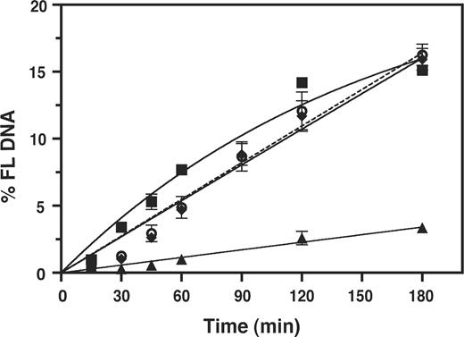 Effect of zinc coordinating activity of NC on the kinetics of 591R primer extension. Reactions were performed with RT in the presence or absence of WT NC, SSHS NC (32), or zinc-less NC (69). The data were plotted as % FL DNA versus Time (min). Symbols: minus NC, squares; WT NC, triangles; SSHS NC, open circles, dashed line; zinc-less NC, diamonds. Note that the minus NC and WT NC curves are the same as those shown in Figure 5 for reactions with WT RT, but the scale on the y-axis is expanded here.
