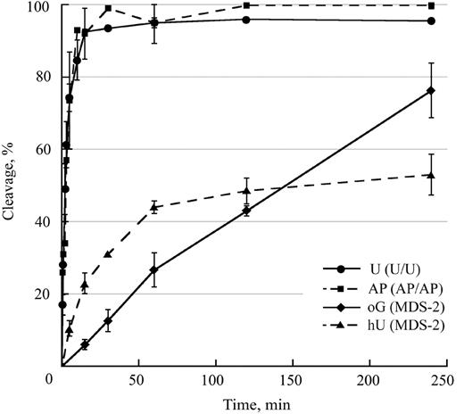 Cleavage efficiency at uracil, AP sites, oG and hU by yeast whole-cell extracts. 32P-labeled duplexes U/U, AP/AP or MDS-2 were incubated with 20 μg of proteins from whole-cell extracts at 37°C for various periods of time and separated on 12% denaturing polyacrylamide gels. Two different cell extracts were used. Data represent the means of at least two independent experiments for each extract. Kinetics of cleavage at U or at AP were similar on the two strands and similar to that in AP/U and U/AP. Kinetics of cleavage at oG and hU are given for MDS-2, but they are similar to that in IMDS-oG4/hU or SDS-oG and SDS-hU.