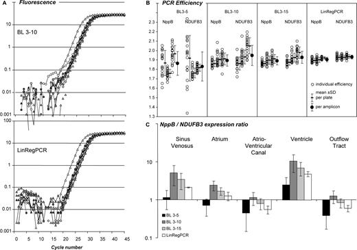 Effect of the baseline estimation method on qPCR data analysis. (A) PCR amplification curves of NppB and NDUFB3 in samples of five different parts of the developing chicken heart. Baseline fluorescence was estimated by the system software as a linear trend through the observations of cycles 3 through 10 (BL 3–10, top panel) or with the baseline estimation method described in this article (LinRegPCR, bottom panel). See Supplementary Figure S2A for additional system baseline settings.(B) PCR efficiency values of NppB and NDUFB3 from each individual sample (open circles) in three independent PCR runs. An optimal W-o-L was applied per amplicon per plate. Mean efficiencies per plate and per amplicon were calculated. PCR efficiencies were determined after application of three baseline trends, as well as after the LinRegPCR baseline subtraction. The variation was lowest in LinRegPCR-derived PCR efficiency values (see Supplementary Figure S2B). (C) NppB/NDUFB3 gene expression ratio in different parts of the developing chicken heart for each of the baseline correction methods. Note that the pattern of observed expression ratios depends on the applied baseline correction method. Variation in expression ratios per tissue is lowest in data derived from LinRegPCR-corrected data.