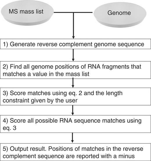 Bioinformatics strategy for identifying the genetic origin of an RNA molecule.