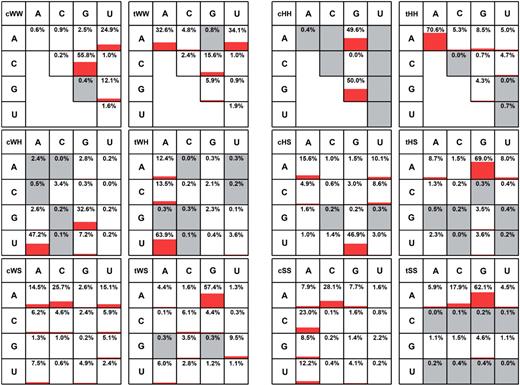 A graphical summary of the base pair occurrence frequencies within each base pair family, obtained from rRNA sequence data (data from Supplementary Table S8). For cWW, tHH, tWH, tHS, tWS and tSS, one base combination accounts for >50% of instances. The gray boxes in each matrix indicate base combinations that do not form that type of base pair. For example, there is no GG cWW base pair.
