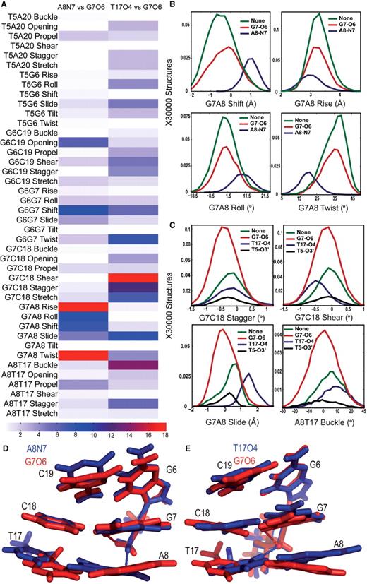 Helical parameters in the T GG A sequence context. The conformational differences in the central 4 bp for different hydrogen bonded species in the T GG A sequence context are represented at three different levels. The differences between two hydrogen bonded species in all the 42 parameters are shown in a heat map ( A ). For CP-DNA, we compare structures with G7-O6 hydrogen bond to structures with the A8-N7 hydrogen bond and for OX-DNA we compare structures with G7-O6 hydrogen bond to structures with the T17-O4 hydrogen bond. We represent the differences as the KS ratio, which is color-coded (The KS ratio decreases in the order of Red > Blue > White). Plots of histograms of the four helical parameters showing significant differences for different hydrogen bonded species of CP-DNA adduct ( B ) and OX-DNA adduct ( C ), are shown with the frequency distribution calculated as described before. The distribution for structures with no hydrogen bond is plotted in green, for structures with G7-O6 hydrogen bond in plotted in red and for structures with hydrogen bond to the adjacent base is plotted in blue. Alignment of 5′ G6G7 A8 3′ base pairs of the centroid structures forming the CP-G7-O6 hydrogen bond (red) and the CP-A8-N7 hydrogen bond (blue) ( D ) are shown. Alignment of 5′ G6G7 A8 3′ base pairs of the centroid structures forming the OX-G7-O6 hydrogen bond (red) and the OX-T17-O4 hydrogen bond (blue) ( E ) are also shown. The structures are aligned based on Pt-G6G7.