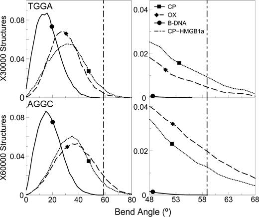 Bend angle distributions of hydrogen-bonded species. The bend angle distributions of CP-, OX- GG adducts and undamaged DNA in the T GG A and the A GG C sequence context are plotted. The distribution for undamaged DNA is plotted as a solid line, the distribution for CP-DNA is plotted as a dotted line and that for OX-DNA is plotted as a dashed line. The bend angle of DNA in the crystal structure of CP-DNA bound to HMGB1a ( 21 ) is plotted as a vertical dashed line. The region of bend angle ±10° of the bend angle in the crystal structure of CP-DNA bound to HMGB1a is plotted alongside to highlight differences between CP- and OX- GG adducts.