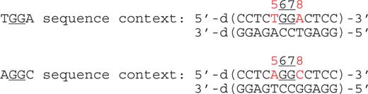 Dodecamer sequences used in simulations.