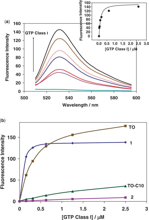 ( a ) Fluorescence emission spectra of TO-GMP (65 nM) in the presence of varying concentrations of GTP Class I (0, 0.0195, 0.039, 0.078, 0.1563, 0.625 and 2.5 µM, frssom bottom to top). The insert shows for maximum fluorescence versus aptamer concentration curve fitting ( Kd = 60 nM). ( b ) Dependence of the fluorescence on the concentration of GTP Class I aptamer for: 1 ; TO ; 2 and TO-C 10 (all measurements at 50 nM of dyes).
