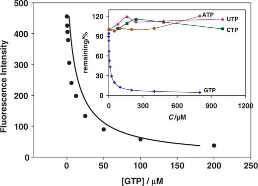 Fluorescence response of TO-GMP (300 nM) containing GTP Class I (600 nM) in the presence of varying concentrations of GTP (0, 0.39, 0.78, 1.563, 3.125, 6.25, 12.5, 25, 50, 100 and 200 µM). Small insert shows displacement (% remaining versus concentration) in the presence of GTP, and no response to other NTPs.