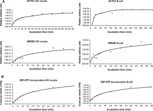 Characterization of the kinetics of each T7-IVT amplification round. Two tissues were tested, i.e. germinal-stage oocytes and 8-cell embryos. ( A ) The aRNA production during the first round was followed using real-time PCR targeting the actin gamma 1 (ACTG1) and high-mobility group box 1 (HmgB1) transcripts. ( B ) The aRNA production during the second round was followed by measuring the incorporation of radiolabeled UTP.