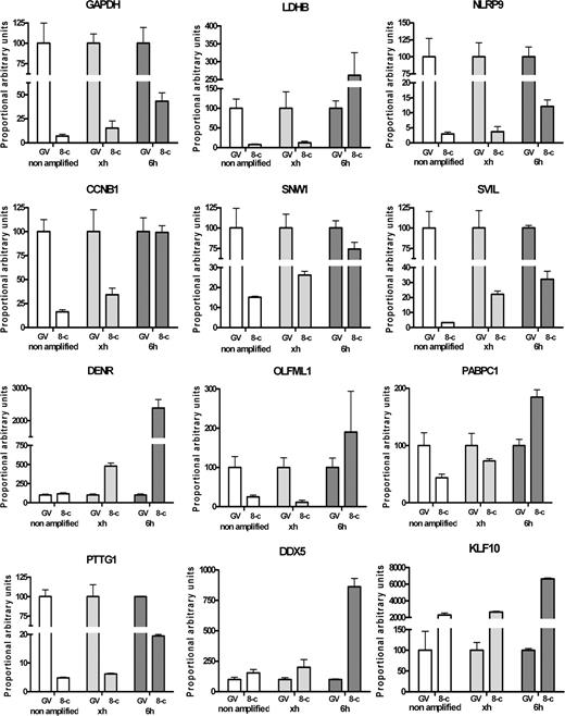 Relative abundance of candidate gene transcripts in unamplified or amplified samples following the restricted amplification protocol (identified on the charts by ‘xh’) or following the standard procedures (two rounds of 6 h) identified by ‘6h’. For each group, the mean abundance value of the GV oocyte was set as standard relative basis. CCNB1, cyclin B1; DDX5, DEAD box polypeptie 5; DENR, density-regulated protein; GAPDH, glyceraldehyde-3-phosphate dehydrogenase; KLF10, Kruppel-like factor 10; LDHB, lactate dehydrogenase B; NLRP9, NLR family, pyrin domain containing 9; OLFML1, olfactomedin-like 1; PABPC1, poly(A)-binding protein cytoplasmic 1; PTTG1, pituitary tumor-transforming 1; SNW1, SNW domain containing 1; SVIL, supervillin.