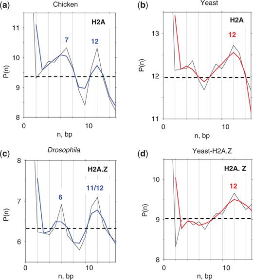 Autocorrelation between AT2 dimers located in terminal regions of nucleosomes. The distance autocorrelation function, P(n), represents the frequency of occurrence of two AT2 dimers with distance n between them (13,35). The intervals from −8 to +12 in both strands were used to calculate the autocorrelation for the chicken (a), yeast (b), Drosophila (c) and yeast-H2A.Z (d) sequences. Dashed lines represent the P(n) averages (n = 1 to 15) over 1000 implementations of the same number of ‘random’ sequences as in the original NCP sets. The tri-nucleotide composition was the same as in the corresponding genomic fragments in the intervals (–8, +12). None of the standard deviations of randomly generated P(n) values exceeded 0.15. Therefore, all the peaks observed at n = 6/7 and n = 11/12 have Z-score values 4.5 and higher (the significance level is P < 10–5).