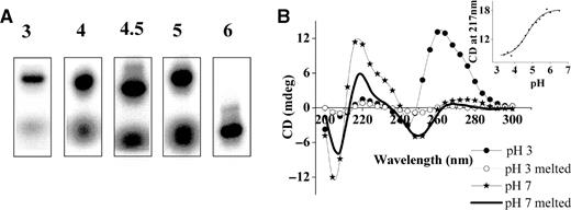 (A) Gel electrophoresis of dA15 showing two forms with different electrophoretic mobility. P32 labeled dA15 was incubated at the indicated pH at 4°C and then electrophoresed on 15% native PAGE in Robinson–Britton buffer of corresponding pH at 20°C and visualized using PhosphorImager. pH values are indicated above each lane (Na+ = 30 mM). (B) CD spectra of 1 μM dA15 at pH 3.0 and pH 7.0 in 10 mM phosphate recorded at both 20°C and 95°C (Na+ = 10 mM). Inset: CD at 217 nm of 5 µM dA15 in 10 mM Na+ cation as a function of buffer pH.