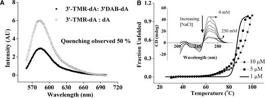 (A) Fluorescence quenching experiments on the dual labeled poly dA15 duplex of 1:50 3′-TMR-dA15:3′-Dabcyl-dA15 (filled circles) and 1:50 3′-TMR-dA15: 3′-unlabeled dA15 (open circles) at 100 nM TMR- dA15 in 30 mM Na–phosphate buffer, pH 3 (Na+ = 30 mM). (B) UV thermal melting of dA15 duplex at 10 mM buffer, pH 3 (Na+ = 10 mM). Inset: CD spectra of 5 μM dA15 at 0 mM, 15 mM, 30 mM, 75 mM, 150 mM, 200 mM and 250 mM NaCl solution, pH 3.
