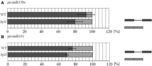 The percentage (%) of miRNA precursor splicing forms in wild-type plants (WT) and hyl1 mutant (hyl1). (A) miR158a and (B) miR161. The comparison of the relative amounts of intron-containing (indicated dark gray) and intronless (light gray) pri-miRNAs shows the predominant participation of intron-containing forms both in wild-type and hyl1 mutant plants. Data are the mean ± standard deviation of median values of each biological replicates. The experiments were performed in two or three biological replicates (with two to five technical replicates for each).