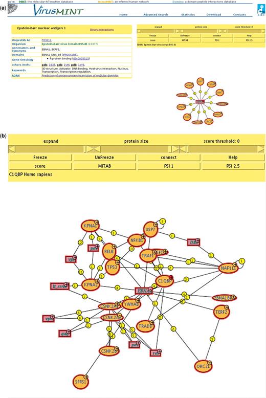The VirusMINT viewer. (a) By clicking on the VirusMINT viewer button all the interactions of the protein of interest will be displayed as a graph. (b) The ‘connect’ button interrogates the MINT database for all interactions between the proteins displayed in the graph.