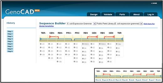 The design interface showing the structure of a genetic toggle switch. The interface has drop down boxes at the top to select the grammar and parts library that will be used in the design. The history panel allows users to select one of the steps in the design process and see the structure of the design at that step. Users are permitted to go back to any step and redesign from that point. The design is presented in the main panel of the page, and icons for each part and the abbreviated parts categories are shown at the top of the design. Choices for each part are shown underneath the part icon. The inset shows the final design for this construct after specific choices (terminals) are selected for each part category.