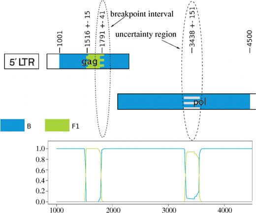Part of the jpHMM web server output for an artificial recombinant containing alternating B/F1 fragments of lengths 1500/300 nt. Above the genome map of the predicted recombination is shown (drawn with the HIV Sequence Locator Tool, http://hiv.lanl.gov/), below the posterior probabilities of the subtypes. Breakpoint intervals are shown by an interfingering of the colors of the two predicted subtypes, uncertainty regions by an interfingering of grey and the color of the predicted subtype. For the uncertainty region around position 3438 the posterior probabilities give a hint to the correct subtype F1.