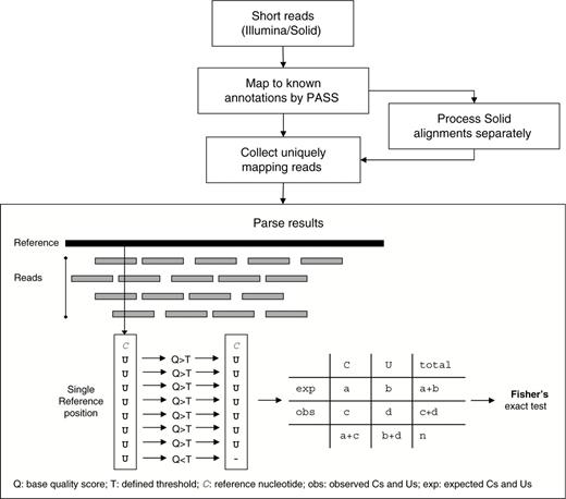 Methodology overview. Graphical overview of the computational methodology used to detect RNA editing sites by short sequencing reads of next generation platforms.