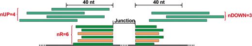Schematic of the parameters to assess junctions in SpliceMap. The deep green reads are uniquely mapped supporting reads (nUM = 4) and the wheat reads are multiply mapped supporting reads. Thus, nR of this junction is 6. But some supporting reads are redundant, so nNR = 4. There are four and three uniquely mapped reads (grey green) in upstream and downstream adjacent regions of 40 nt respectively, so nUP = 4 and nDOWN = 3.