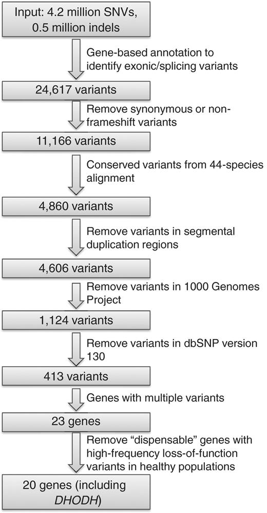 Identification of genes responsible for Miller syndrome using a synthetic data set. The input data set includes all SNVs and indels in subject NA18107 generated by Illumina, as well as two variants known to cause Miller syndrome. The variants reduction method can be implemented by an automation script (auto_annovar.pl) in the ANNOVAR package.