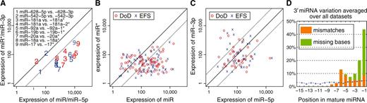 Analysis of expressions of miR/miR* pairs, miR-5p/miR-3p pairs and isomiRs. (A, B, C) Scatter plots are shown, in which each data point (cross, circle, digit) represents expression of a miRNA pair (x-axis: standard or -5p form; y-axis: star or -3p form) in a patient class (blue: EFS, red: DoD). Values for each miRNA pair are presented as log 10 of the geometric average of the five individual patient expression values. The black line indicates the main diagonal x = y. Dotted lines indicate ratios 1:0.15 and 0.15:1. (A) Expression correlation between miRNA-5p and miRNA-3p forms (labeled as 3–9) and standard and star forms (labeled as 1 and 2) for miRNAs known to be involved in NB. (B) Expression correlation between standard and star forms of all expressed miRNAs. (C) Expression correlation between miRNA-5p and miRNA-3p forms of all expressed miRNAs. (D) Global 3′-editing in mature miRNAs. The x-axis indicates the position in each miRNA ( corresponds to the most 3′ position). The data are aggregated over all tumors and all miRNAs analyzed and provide a global picture of 3′-editing. Position  has the highest overall chance of being different from its reference. The blue curve shows the estimated position-specific sequencing error probability (Supplementary Figure S1). Each blue cross represents one position in SOLiD color space. The sequencing error probability in nucleotide space is considerably lower, as many errors are corrected during conversion from color to nucleotide space.