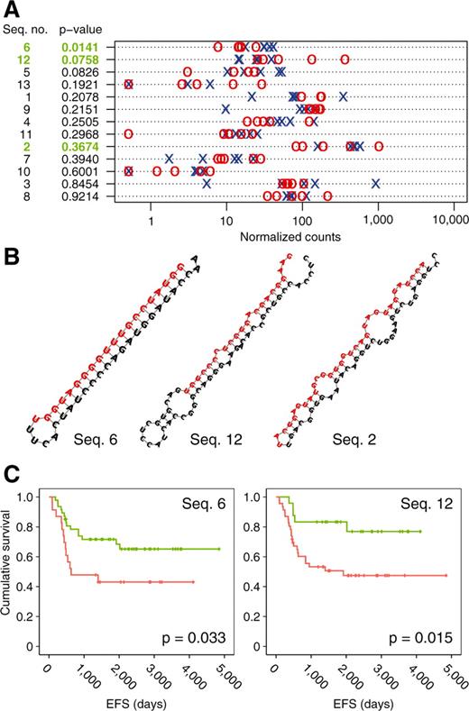 (A) Expression levels of putative new miRNA in favorable (blue) and unfavorable (red) NB, as measured by sequencing. (B) RNA secondary structure of RT-qPCR-validated novel miRNAs as predicted by RNAfold. (C) Kaplan–Meier survival curves for patients with (green) and without (red) Seq 6 expression and low (green) and high (red) Seq 12 expression. For the latter analysis, the 40th percentile was choosen as a cutoff.