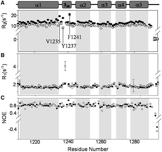 Backbone dynamics data for free (filled circles) and ssDNA-bound (open circles) human BLM HRDC. Residues for which resonances overlapped (Phe1238 and Trp1288) and C-terminal residues (1291–1294) are not shown. ( A ) R2 transverse rates, ( B ) R1 longitudinal relaxation rates and ( C ) 1 H- 15 N heteronuclear NOE values. All data were collected at 600 MHz and 298 K.