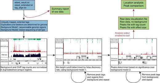 Sole-Search schema. A user can upload one Solexa raw data file into the online program or can upload several files and have the data merged into one file for analysis. The program parses the data and gives the user a summary report which details the number of reads, the number of reads that match the human genome and the number of unique reads. A message is also provided indicating that the remainder of the analysis results will be provided via email when the analysis is completed. Next, two background models are created to reflect the test sample submitted. The first background model reflects all regions of the genome that are both unique and sequenceable. The second model reflects the biased sequencing of input from that cell type. In the first step of the program, the duplicated and deleted regions of the genome are determined and background and ChIP tag counts are normalized to reflect a single copy. In the second step, a peak height threshold is determined based on background model 1 and a false discovery rate (0.0001 or 0.001 is recommended). The most significant peaks determined in the first pass are removed from the background model and this step is repeated for an accurate height cutoff. In the third step, peaks are determined significant over background model 2. Again, the most significant peaks determined in the first pass of this step are removed from the second background model, and this step is repeated, resulting in a final peaks list. After the second pass is complete, output is sent to the user via email. The files produced can be used as visualization tools (Figures 2 and 3) or for further analysis with additional online software (Figure 4). Shown on the top of the browser shots in each panel are the peaks called using Sole-Search and the peaks called if step 1, step 2 or step 3 of the program is removed (see also Supplementary Data for a larger view of each panel).