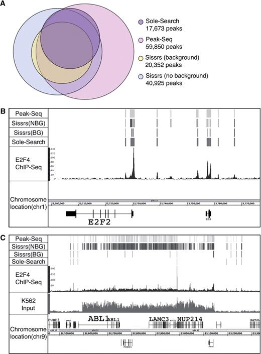Comparison of peak calling by different programs. (A) Peaks were called using the 12 917 986 uniquely mapped tags from the E2F4 merged dataset using Sole-Search, PeakSeq and Sissrs (either with or without using a background; note that only 3 of the 5 lanes of input could be used with Sissrs because the program could not handle the larger number of reads but all 5 lanes were used with the other two programs). The Venn diagram shows the number of peaks called by each program and the relative overlap of the different datasets. (B) Shown for a region of chromosome 1 is the sgr visualization file for the K562 input sample, the E2F4 ChIP sample and the peaks called by each program. (C) Shown for a region of chromosome 9 is the sgr visualization file for the K562 input sample, the E2F4 ChIP sample, and the peaks called by each program; note the very large number of peaks called by PeakSeq and Sissrs in the amplified genomic region.