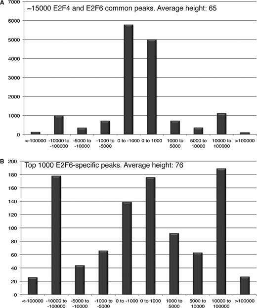 Comparison of E2F4 and E2F6 binding sites. The signifpeaks.gff files for the merged E2F4 and merged E2F6 datasets were uploaded into the Gff-Overlap Tool, using 0 nt distance (Supplementary Data). (A) The ∼15 000 binding sites that were identified (using the overlapping peaks file from the Overlap Analysis Tool) to be bound by both E2F4 and E2F6 in K562 cells were analyzed using the Location-Analysis Tool (Supplementary Data). A graphical representation of the dist_analysis file is shown. (B) The top 1000 of the ∼12 000 E2F6-specific binding sites that were identified (using the non-overlapping peaks file from the Overlap Analysis Tool) were analyzed using the Location-Analysis Tool (Supplementary Data). A graphical representation of the dist_analysis file is shown.