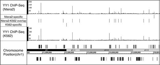 Comparison of YY1 binding sites in two different cell types. The YY1 binding sites (signifpeaks.gff) identified using Sole-Search for K562 cells (Supplementary Data) and for Ntera2 cells (Supplementary Data) were compared using the Overlap Analysis Tool (Supplementary Data). Shown for a region of chromosome 1 is the sgr visualization file for the YY1 ChIP-seq data from K562 and from Ntera2. Also shown for this region are the peaks that are common to both cell types and the peaks that are specific for each cell type.