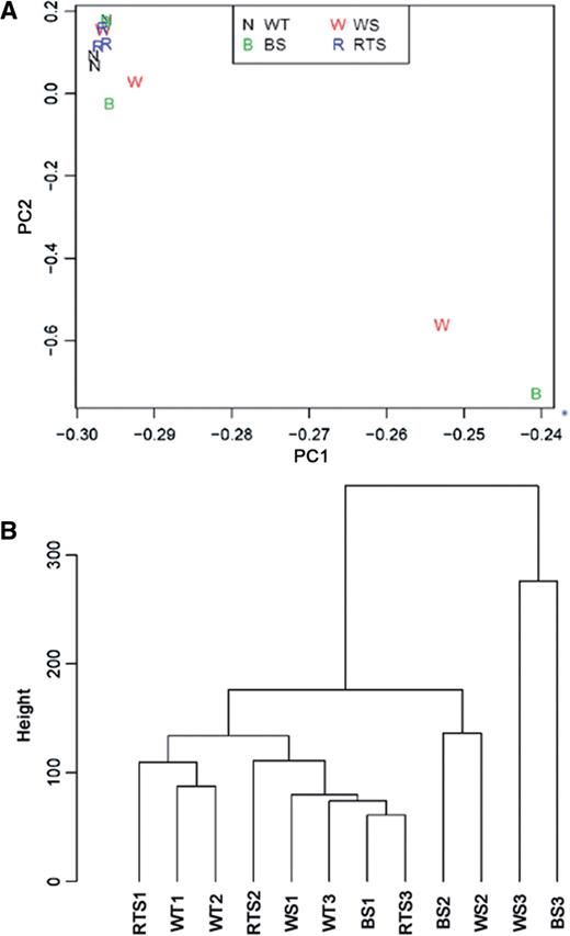 Multivariate analyses of gene expression data. (A) Principle component analyses. Two-dimensional visualization of samples by the first two principal components (PC1 and PC2). (B) Average linkage clustering of samples by Euclidean distance. The vertical axis (Height) indicates the similarity between the clusters.
