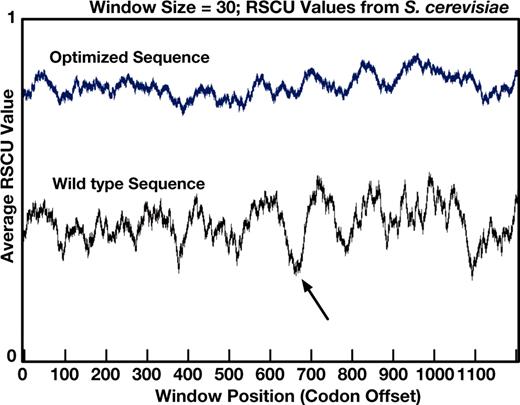 Output from the codon bias graphing module visualizing the average RSCU value across the wild-type and optimized sequences for the integrase/reverse transcriptase polyprotein from yeast Ty1. The boundary between the two protein coding regions can be seen in the wild-type curve as a deep valley at offset 600; the optimized curve does not have this valley.