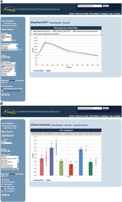This interface shows the results of two queries using the Phenome Data Viewer. (A) The query builder menu on the left-hand side and the results panel on the right which displays a line graph of Blood glucose concentration from the Intraperitoneal glucose tolerance test (IPGTT) procedure performed on inbred mouse strains C57BL/6Ntac and C57BL/6J. (B) The same query builder for mutant data on the left-hand side and on the right, the bar chart graph of HDL-cholesterol for the Mysm-1 mutant.