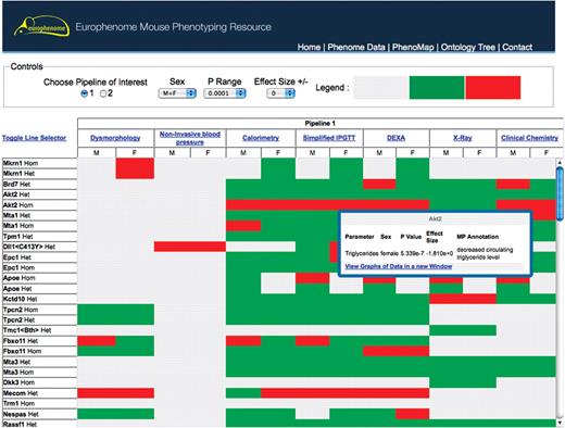 This interface shows the EuroPhenome PhenoMap tool, which is a heatmap representation of statistically significant phenovariants produced from the annotation pipeline. The top panel is an interactive tool to change the phenotyping pipeline (relating to EMPReSS) of interest, the sex, the P range and the effect size. Grey boxes in the map depict a procedure for which we currently do not hold data, the green boxes depict when data is available but no significant annotations were found at the current P-value and effect size. The red boxes show a significant annotation at the current P-value and effect size. Further details on red boxes can be obtained by hovering over the box.
