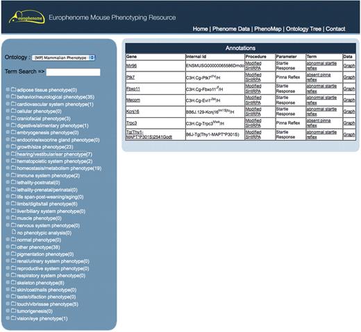 This interface shows the EuroPhenome Ontology Tree tool, with the MP ontology tree on the left-hand panel and six mutants on the right-hand panel, that have been identified from the annotation pipeline as having ‘hearing/vestibular/ear phenotypes’. A direct link to the graphical display for the procedures can be accessed from the data column.