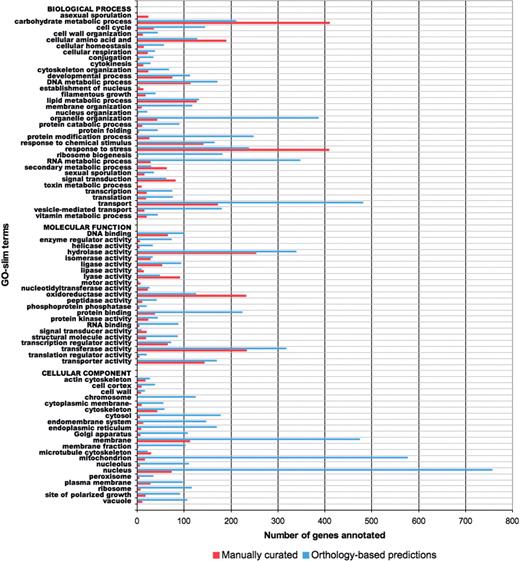 Statistics of GO term annotation for A. nidulans in AspGD. Red bars represent the number of A. nidulans genes at AspGD that are annotated to each of the selected GO slim terms based on published literature (annotated directly to each term itself, or annotated to one of its more granular child terms). Blue bars represent the number of A. nidulans genes annotated to each GO slim term based on predictions made from the annotation of orthologous, characterized S. cerevisiae genes at the SGD. As of 6 August 2009, AspGD contains a total of 14 804 GO annotations for 3297 unique genes.