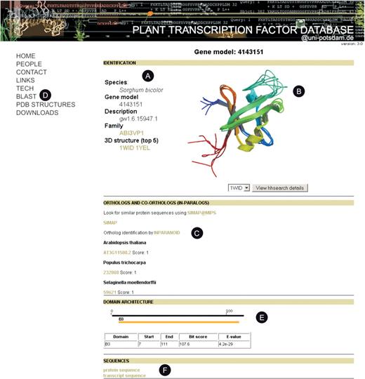 Screenshot of a web page displaying details for a TF gene in PlnTFDB. (A) Every gene page in PlnTFDB displays basic information (including species name and gene family assignment) for a given TF or TR. If gene names had been assigned (only for A. thaliana and O. sativa ssp. japonica) they will be displayed as well. (B) The best hits (hhsearch, probability of being a TP ≥98%) to PDB protein 3D structures are visualized as static images, a link is provided to the embedded Java applet Jmol where basic operations on the 3D structure can be performed. (C) Links to orthologues in PlnTFDB are provided. (D) Users can query PlnTFDB through similarity searches (BLAST) using a protein or a nucleotide sequence as query. (E) Domain architecture is displayed with links to the original domain databases (Pfam or our local database, see section ‘Identification of protein domains and new domains models’). (F) Links to the protein and transcript sequences of the gene are provided.