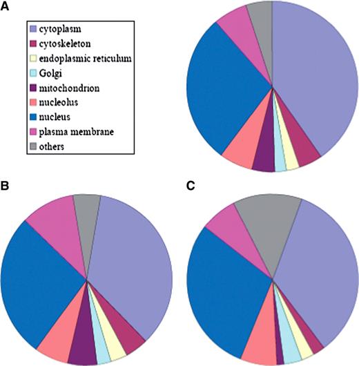 Tagged proteins in the LARC library are found across all cellular localizations. The localization distribution is similar to that of all known proteins. Represented are distributions of cellular localizations for: (A) all proteins in the Dynamic Proteomics database with published localizations; (B) all proteins in the GO database; (C) uncharacterized proteins in the database based on manual inspection. These proteins have no available published localization.