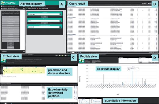 Screenshots of new PhosPhAt web interface. (A) Entry screen with advanced search, (B) result window, (C) peptide summary and (D) protein summary.