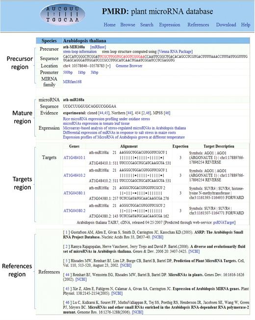 Sample page for detailed information regarding each unique miRNA. Contents of this page are divided into four parts (miRNA ath-MIR168a was used as an example): the first section concerns miRNA precursor, including sequence, stem-loop information, miRNA family and location in the whole genome; the second section is about the mature miRNA, including sequence, evidence and expression patterns; the third section concerns target genes: for Arabidopsis and rice, the target genes and sites were predicted by psRNATarget server (38) in default parameters; for poplar, soybean, cotton, medicago and maize, the listed genes were collected from the references. The last section includes the related references. The miRNA family and the evidence were based on the definition from miRBase, Rfam and the references.