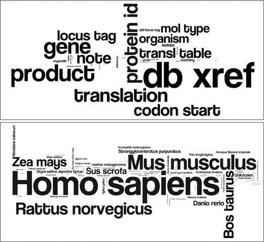 Word cloud images created using a DDBJ database release. The upper figure uses feature keys ranking among the top 100 for the total number of nucleotides; similarly, the lower figure uses species names.